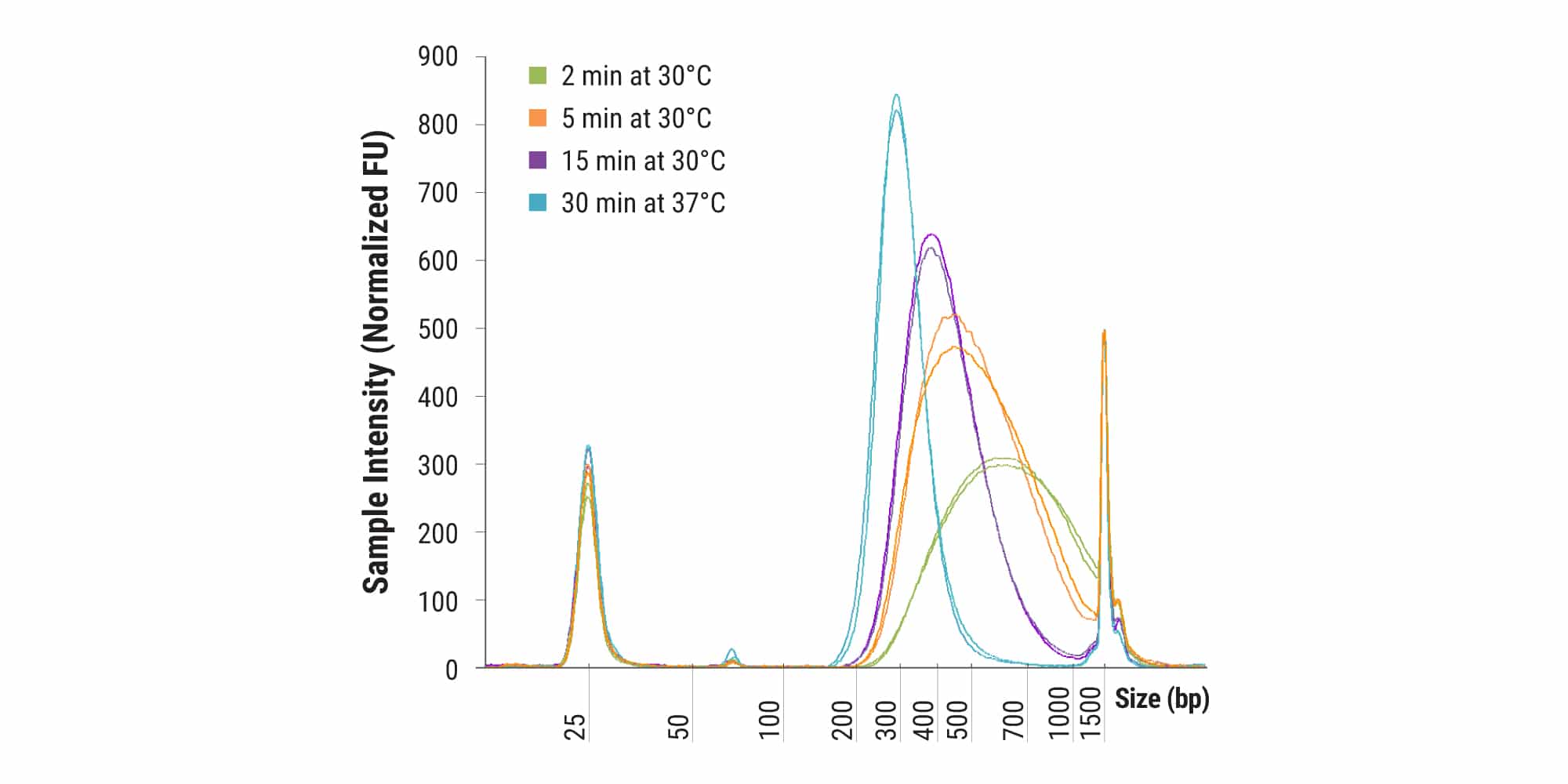 Figure 5. Library sizes are easily tailored to application-specific needs. Libraries were constructed from 50 ng of human genomic DNA. A fragmentation reaction time titration was conducted using 30°C (3, 5, and 15 minutes) and 37°C (30 minutes) incubation temperatures. Final library distributions were assessed using a D1000 assay by TapeStation (Agilent).