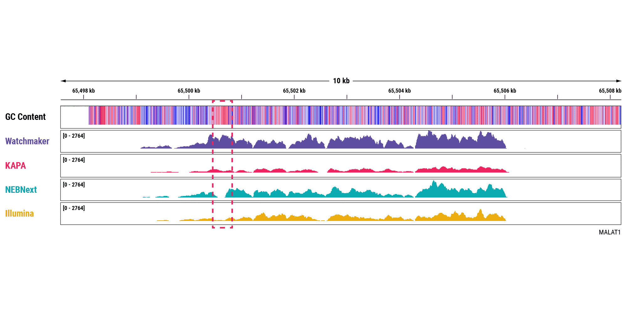 Figure 5B. Improve efficiency and characterize lncRNAs. The Watchmaker solution also provides improved coverage across MALAT1, especially the GC-rich region outlined in red. Libraries were prepared with 10 ng of intact whole blood-derived RNA.