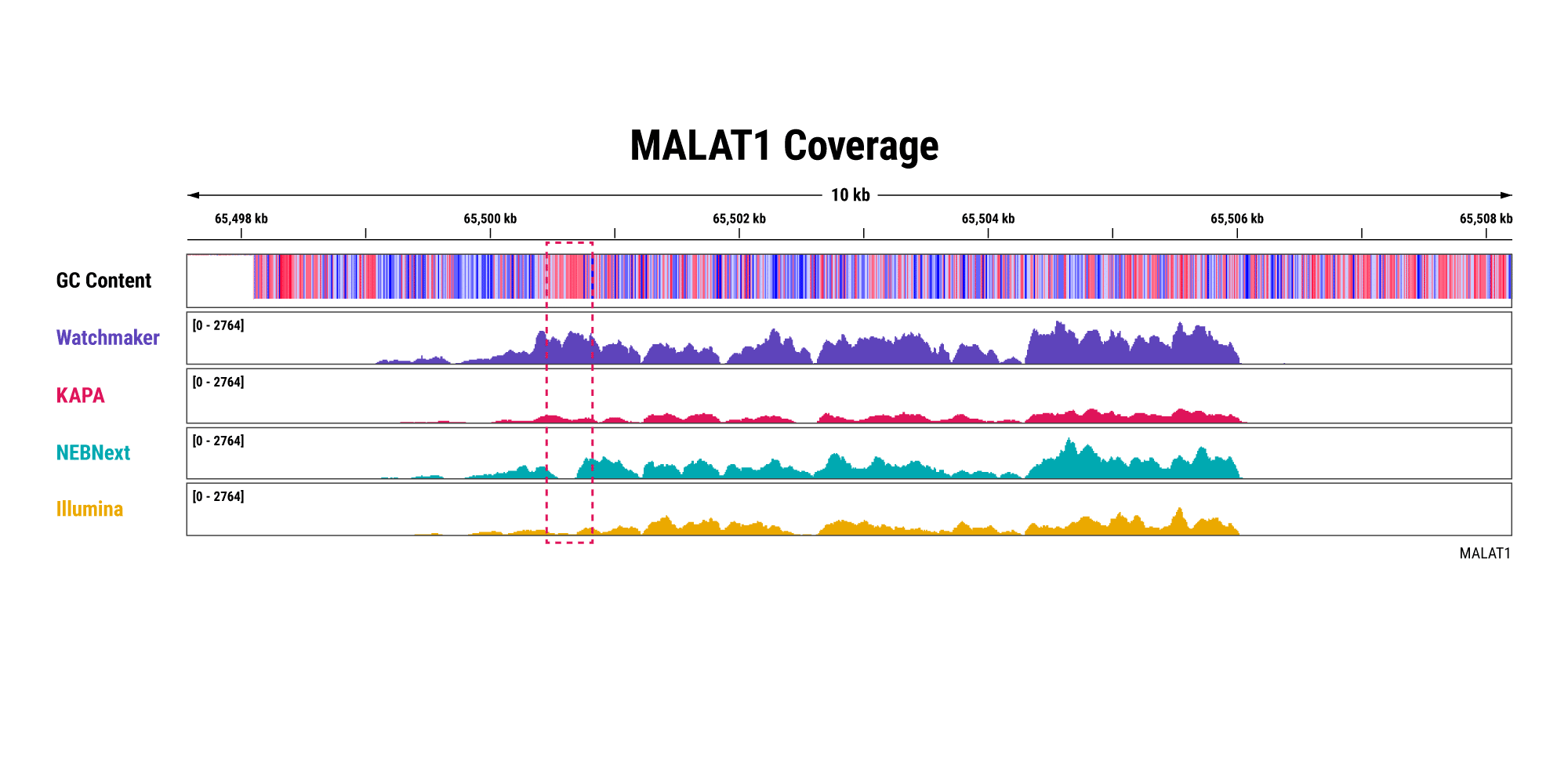 Figure 5B. Improve efficiency and characterize lncRNAs. The Watchmaker solution also provides improved coverage across MALAT1, especially the GC-rich region outlined in red. Libraries were prepared with 10 ng of intact whole blood-derived RNA.